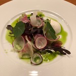 アノニム - サラダ