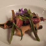 ヴィラ・デル・ソル - 鮑と蛍烏賊 アンチョビーのサラダ。契約農園で育ったイタリア産の野菜の苦味が鮑や蛍烏賊と良く合います。