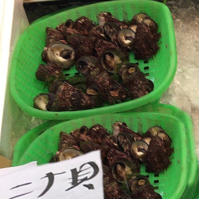 ニナw By Moon Yn 魚屋花子 防府潮彩市場 防府 その他 食べログ