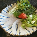 ようちゃん - アコウの造り