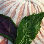 まつもと 本店 - 