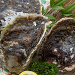 Rock oyster (1 piece)