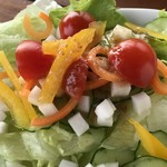 天空カフェ・アイアン雑貨の店シープガーデン - 彩綺麗なサラダ