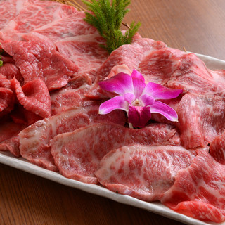 焼肉 乙ちゃん 本店 オトチャン 鮫洲 焼肉 ネット予約可 食べログ 焼肉 乙ちゃん 本店 オトチャン 鮫洲 焼肉 ネット予約可 食べログ