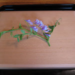 比良山荘 - 八寸の杉箱(2011.6)