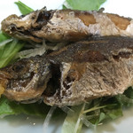 寿司割烹 松ふじ - 