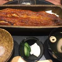 うなぎ 四代目 菊川 グローバルゲート店 - 