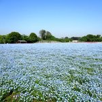 富田さとにわ耕園 - 