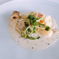 ツキ シュール ラメール - 