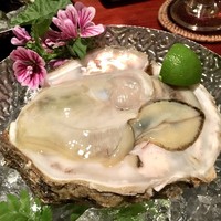ときずし 山田 - 