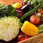 イタリア食堂 テラマーテル - 