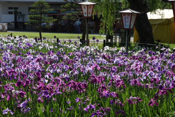 頓珍館（トンチンカン） - 南長井（焼肉）の写真