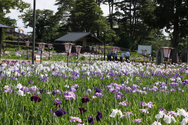 頓珍館（トンチンカン） - 南長井（焼肉）の写真