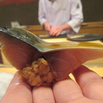 照寿司 - 綺麗な形の〆鯖