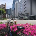 めしの助 - もうそこには、名駅が…