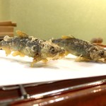 江戸前晋作 - 稚鮎