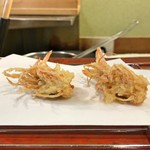 江戸前晋作 - 車海老の兜