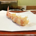 江戸前晋作 - 車海老（レア）