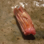 寿し おおはた - 