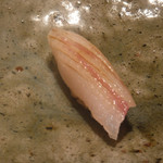 寿し おおはた - 