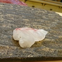 鮨 島本 - 