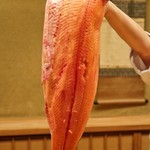 緒方 - ☆琵琶鱒