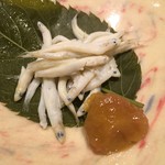 鮨　Shizuku - 滋賀県琵琶湖産氷魚 桜の葉蒸し