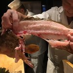 鮨　Shizuku - 山口県萩産アコウ