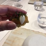 レミニセンス - 