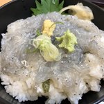 中央食堂 - 生しらす丼