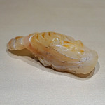 三谷 - 八戸産の平目