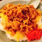 大鵬 - てりどんきんし（ネギ付き）