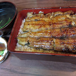 うなぎ　色川 - うな重　特