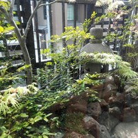 耽美 下村 - 