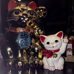 中華居酒屋 ねこや - まねきねこ強化中