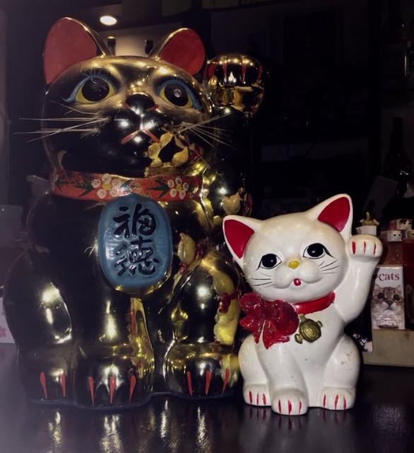 Chuka Izakaya Nekoya photo 4