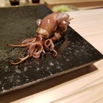 鮨 なんば - 富山県滑川市のホタルイカ