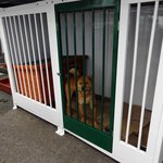 レストラン ウオゼン - 