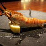 エル・フエゴ・デル・トロ - 