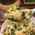 林家 - ネギ半チャーハン