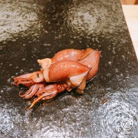 鮨 なんば 日比谷 - ホタルイカ