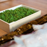 柚木元 - 2018.4 京都産花山椒