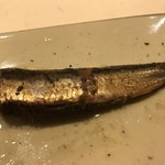 鮓 きずな - 千葉 銚子 鰯オイルサーディン