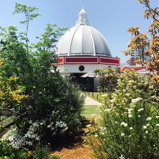 アマルフィイ ホワイトガーデン_1