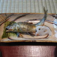 瓢亭 本店 - 