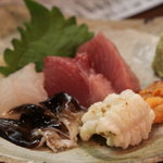 布 - お造り盛り合わせ