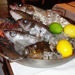 Ristorante IL FIGO INGORDO - 魚の見本