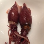 鮨 西むら - 蛍烏賊