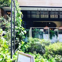 マディソン ニューヨーク キッチン - 