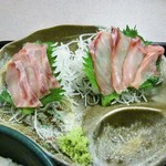 Sashimi Washoku Asahiya - 石鯛刺身
